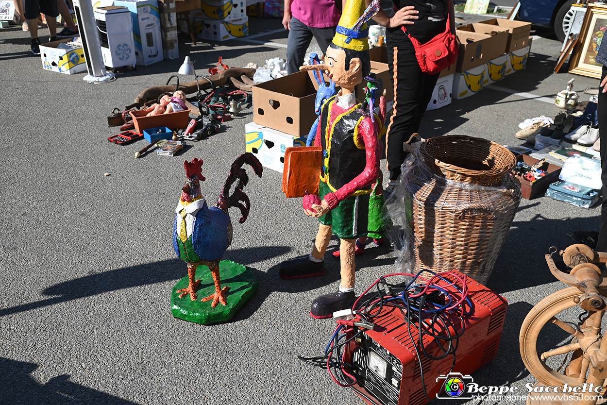 VBS_1552 - Mercatino dell'Antiquariato e dell'Hobbismo - Giugno 2025.jpg